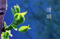 做梦梦见枪的寓意象征说法