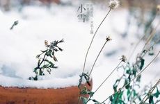 梦见苦行怎么回事 梦见苦行有什么预兆