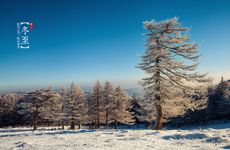 冬至吃饺子有什么特殊寓意吗？冬至到底是吃饺子还是吃汤圆？