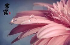 寒露有什么谚语 寒露农业方面要注意什么？