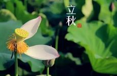 立秋能回娘家吗？2022年立秋能不能搬家？