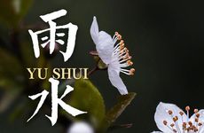 梦见看到一排坟墓