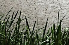 2023年从什么时候开始数九寒天 2023年数九从几号开始