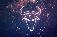 金牛座2023年的全年运势 2023年金牛座彻底大爆发