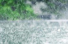 梦见茶 喝茶 端茶 煮茶怎么回事 梦见茶 喝茶 端茶 煮茶有什么预兆