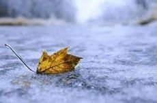 2021年父亲节婚姻运直线上升的星座