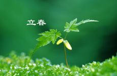 2023年躲春的时间是上午还是晚上 2月4日早上