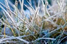 2021年霜降出生的人是什么星座？和哪些星座合得来？