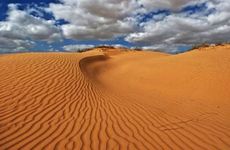 路旁土命什么意思 什么是路旁土命