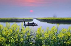 2023年清明节是何曰 清明节为何吃寒食