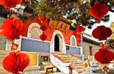 2022情人节最红短句 春节和情人节文案