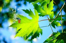 孕妇梦见掉牙是胎梦吗 孕妇梦见掉牙是什么意思