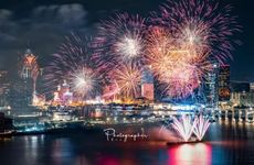 哪些好兆头的植物适合春节摆放