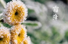 霜降是几月几日2022年 霜降三候指什么