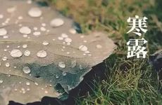 2023年寒露节气的饮食风俗通用