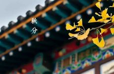 男生网名霸气带符号