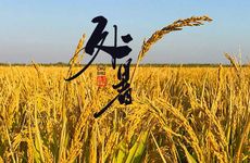 处暑节气的习俗及养生食物