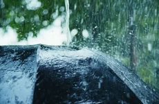 酸柠檬 这些生肖极爱吃伴侣的醋