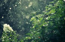 2022清明节五台山开放吗