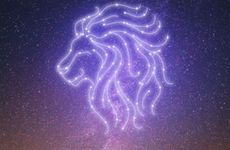 狮子座男生的性格缺点