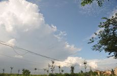 2024三九天是几月几号