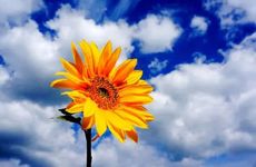 2024立夏多少度 立夏的温度是多少