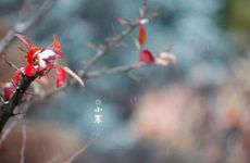 客厅财位放什么好 客厅财位注意事项