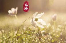 立春祭农的寓意2023 立春祭太岁有什么好处