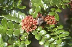 主卧和次卧门对门好不好 如何化解主卧和次卧门对门