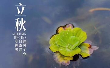 梦见大楼倒塌有何寓意？