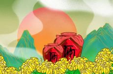 2023年重阳节送菊花的意义