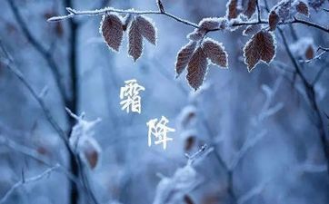 2022虎年农历二月初六日38妇女节适合理发吗？