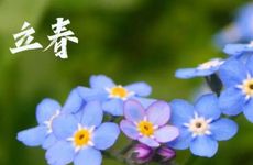 做母亲很成功的星座女