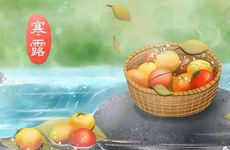 寒露节气的传统习俗有哪些