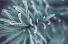 2024冬天三九时间表