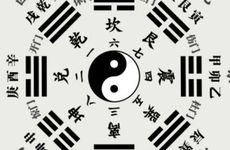 杨柳木八字纳音六十甲子详解