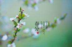 春分烧纸正规写法 春分烧纸怎么写