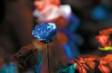 七夕节的饮食习俗及传统美食