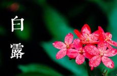 2023年一九二九从哪天开始算 2023年一九二九具体是几号