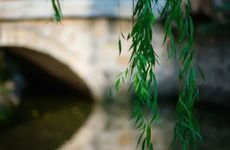 十月富裕好日子开始 不再走霉运的四个生肖