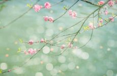 立春后天气就转暖了吗？年前立春冷还是年后立春冷？