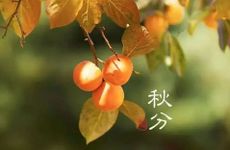 秋分节气的风俗