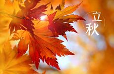 感情洁癖最严重的星座 爱得单纯