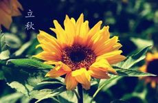 2024年立秋当天是庚日吗 立秋日是黄道吉日吗