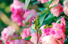 今日财神方位 2022年5月5日立夏农历四月初五