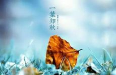 2024年立秋的具体时间是多少