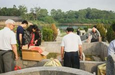 2024年农历六月有什么节气 有三伏天吗