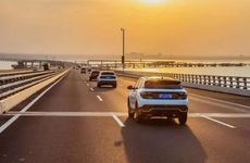 在未来七天里 桃花朵朵 有脱单可能 会甜蜜到老的三大生肖