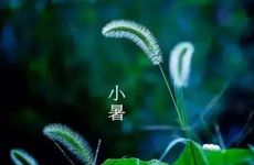小暑节气的风俗活动及养生秘诀
