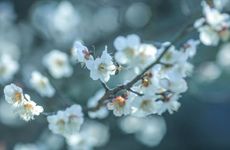 2023年躲春几点到几点 躲春的由来